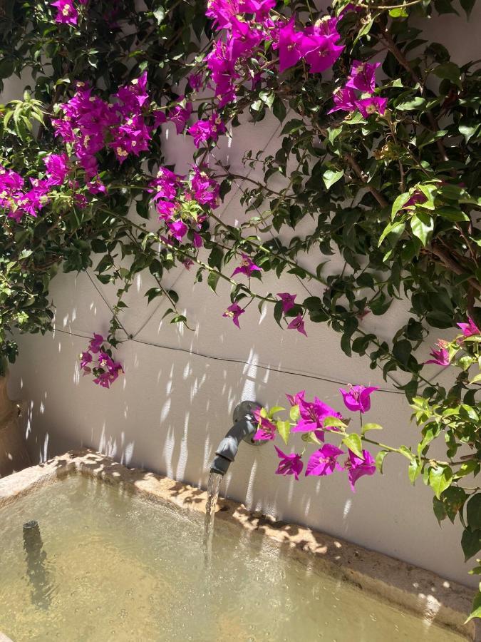 Casa Del Museo - Agua Διαμέρισμα Medina-Sidonia Εξωτερικό φωτογραφία