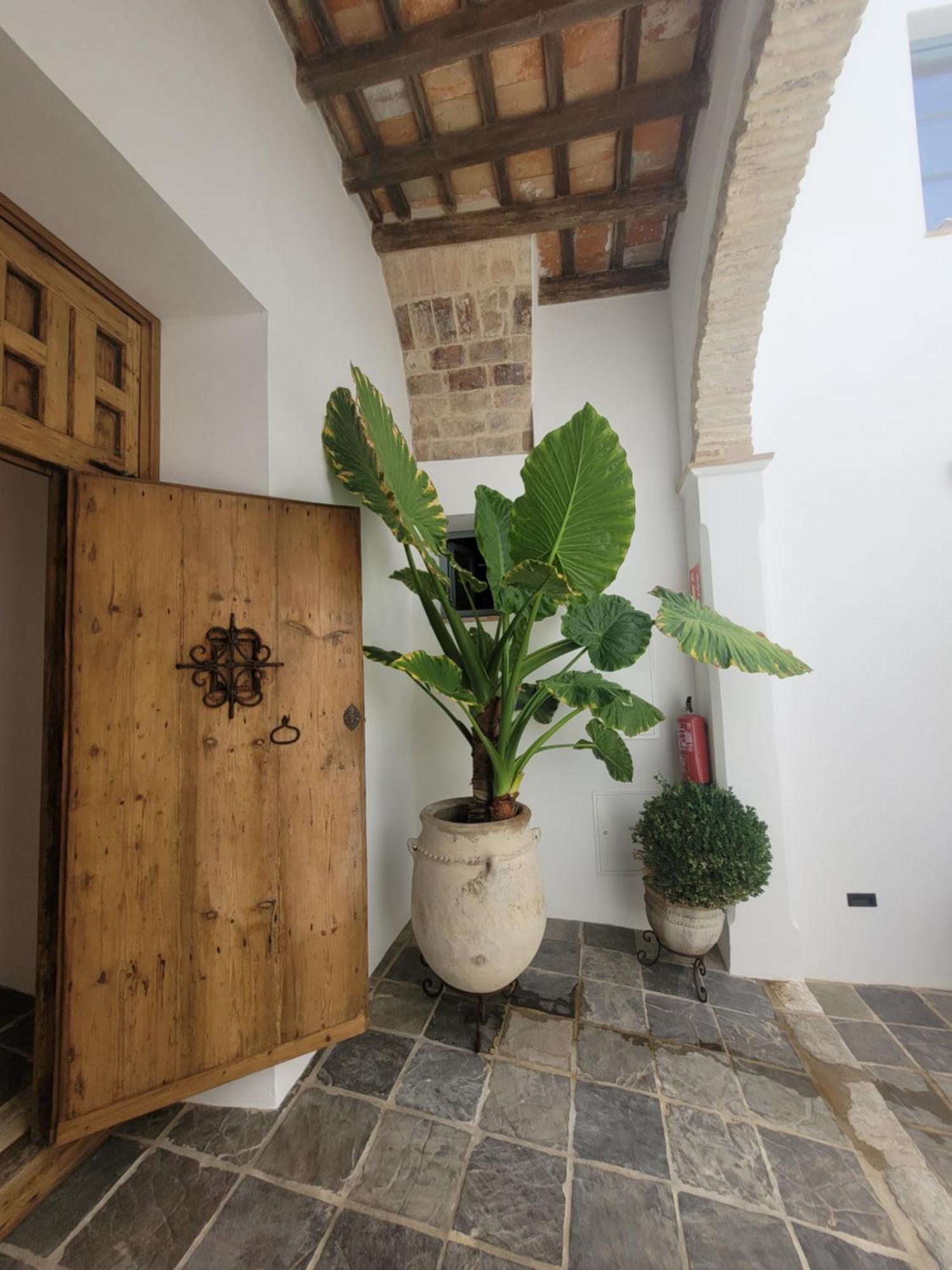 Casa Del Museo - Agua Διαμέρισμα Medina-Sidonia Εξωτερικό φωτογραφία